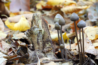 Similar image 1036726