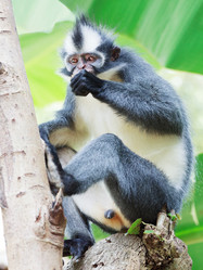 Similar image 1036808