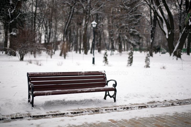 Скамейка в зимнем парке