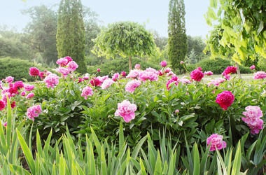 Similar image 1037174