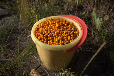 Similar image 1037225