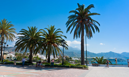 Similar image 1037324