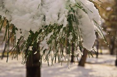 Similar image 1037373