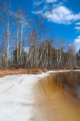 Similar image 1037401