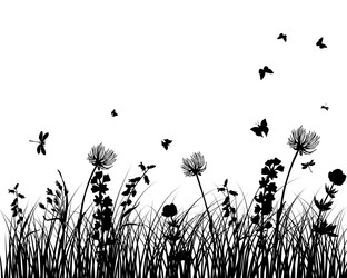 Similar image 1037434