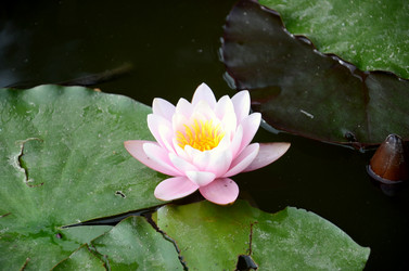 Similar image 1037475