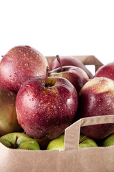 Similar image 1037483