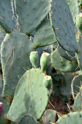 Similar image 1037484