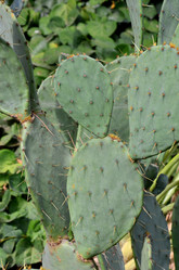 Similar image 1037489