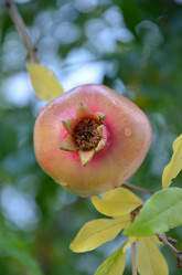 Similar image 1037490