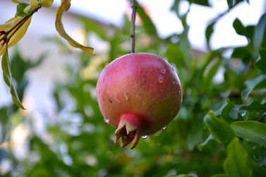 Similar image 1037491