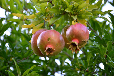 Similar image 1037492