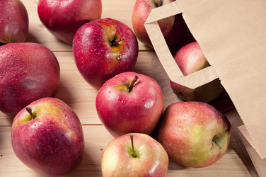 Similar image 1037515