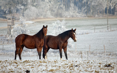 Similar image 1037603