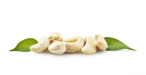 Similar image 1037654