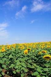 Similar image 1037672