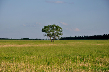 Similar image 1037690