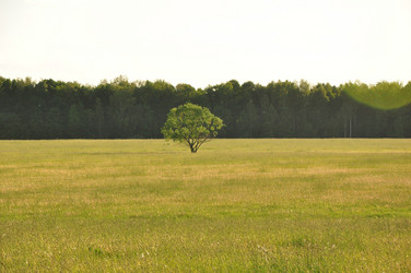 Similar image 1037691