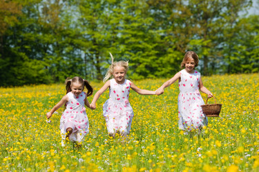 Similar image 1037702