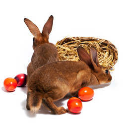 Similar image 1037704