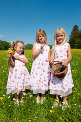 Similar image 1037708