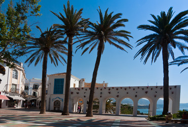 Similar image 1037729