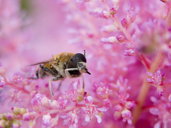 Similar image 1037747