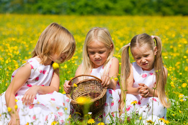 Similar image 1037751