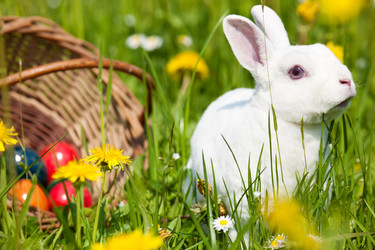 Similar image 1037815