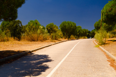 Similar image 1037866