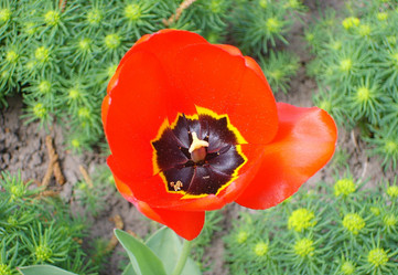 Similar image 1037914