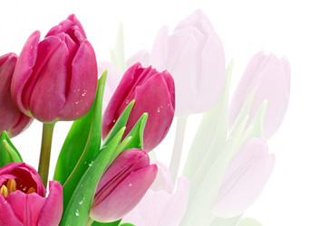 Similar image 1037958