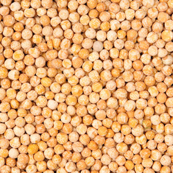 Similar image 1037967