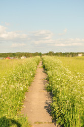 Similar image 1037984