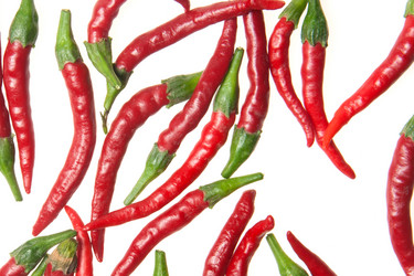 Similar image 1038023