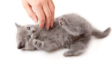 Similar image 1038030