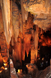 Similar image 1038034