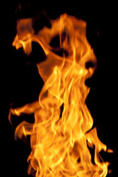 Similar image 1038070