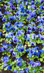 Similar image 1038081