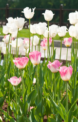 Similar image 1038084