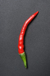 Similar image 1038086