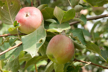 Similar image 1038122