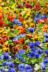 Similar image 1038136