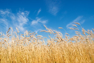 Similar image 1038141