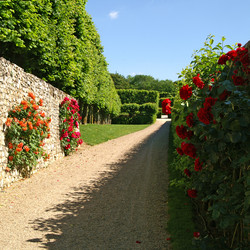 Similar image 1038149