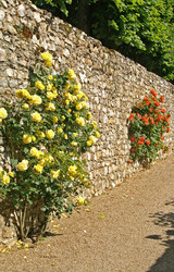 Similar image 1038151