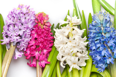 Similar image 1038160