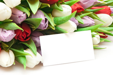 Similar image 1038173