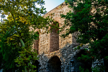 Similar image 1038186