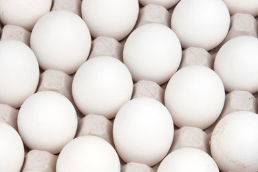 Similar image 1038205